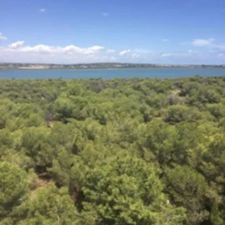 Beau Et Paisible T4 Torrevieja