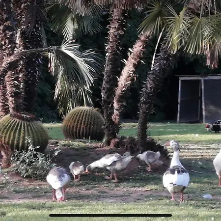 Beau Et Paisible T4 *